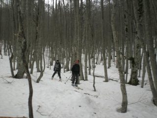 faggeta piana grande