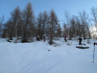 Nel bosco