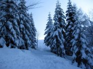 primavera??