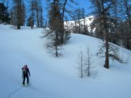 uscita dal bosco