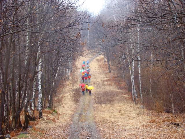 sul tagliafuoco della dorsale della Serra