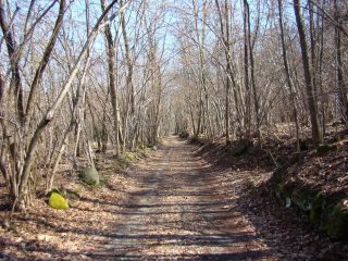 sul versante Biellese verso Torrazzo