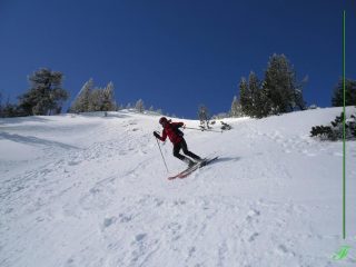 sui pendii nel bosco
