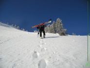 nel bosco