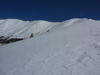la lunga cresta