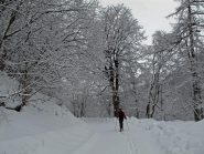 Domenica-Ancora sulla strada