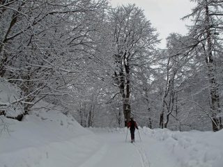 Domenica-Ancora sulla strada
