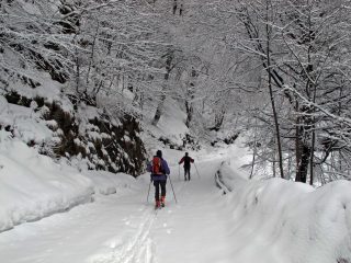 Domenica-Sulla strada dopo Borgo