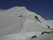 10.in discesa,parte mediana della cresta.