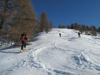 Dorsale, parte bassa