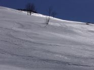 Primaverile