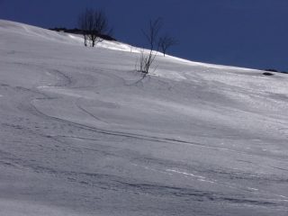 Primaverile