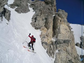 concentrato
