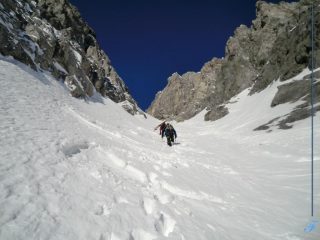 nel cuore della elle