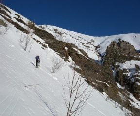 prima della spalla