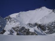 la parete oggi, bella firma