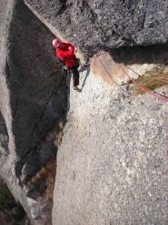 otaner sulla variante Gogna