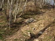 Il sentiero nel bosco ben segnalato