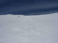 bellissima...................