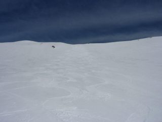 bellissima...................