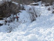 beh! in fondo un po' di sano ravanamento era scontato...