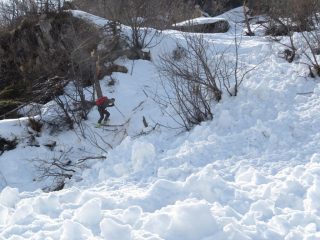 beh! in fondo un po' di sano ravanamento era scontato...