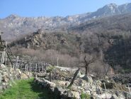 Salendo fra le vigne