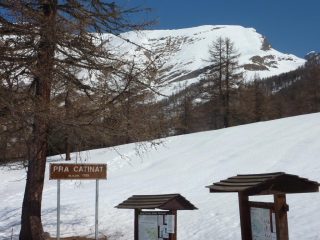 Il Ciardonet visto da dove si inizia a salire