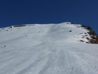 Non solo bipedi sul pendio