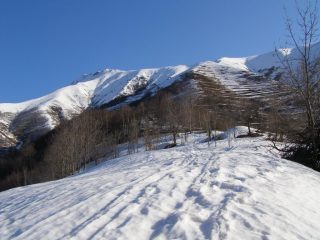 Non molta, ma si possono mettere le racchette
