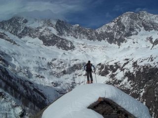 Alberto contempla