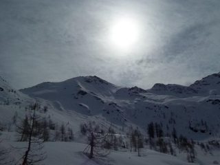 Il Galihorn