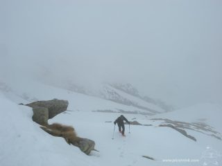 mark ispeziona la sud