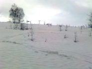 02 - ...anche un pò in mezzo agli arbusti