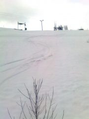 01 - curvoni nella parte alta