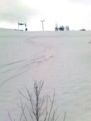 01 - curvoni nella parte alta