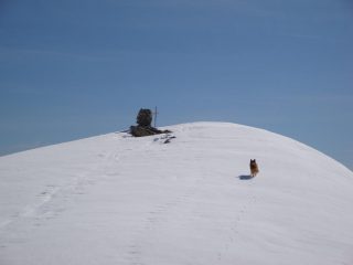 Monte Crosetta
