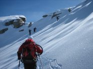 al colletto(cambio pelli)