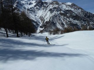 Neve che ha tenuto perfettamente