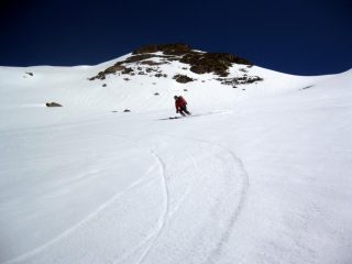 Nella stilosa