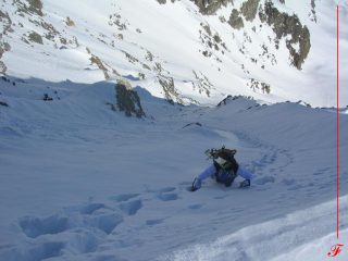 paradisi verticali