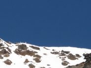la MADONNINA