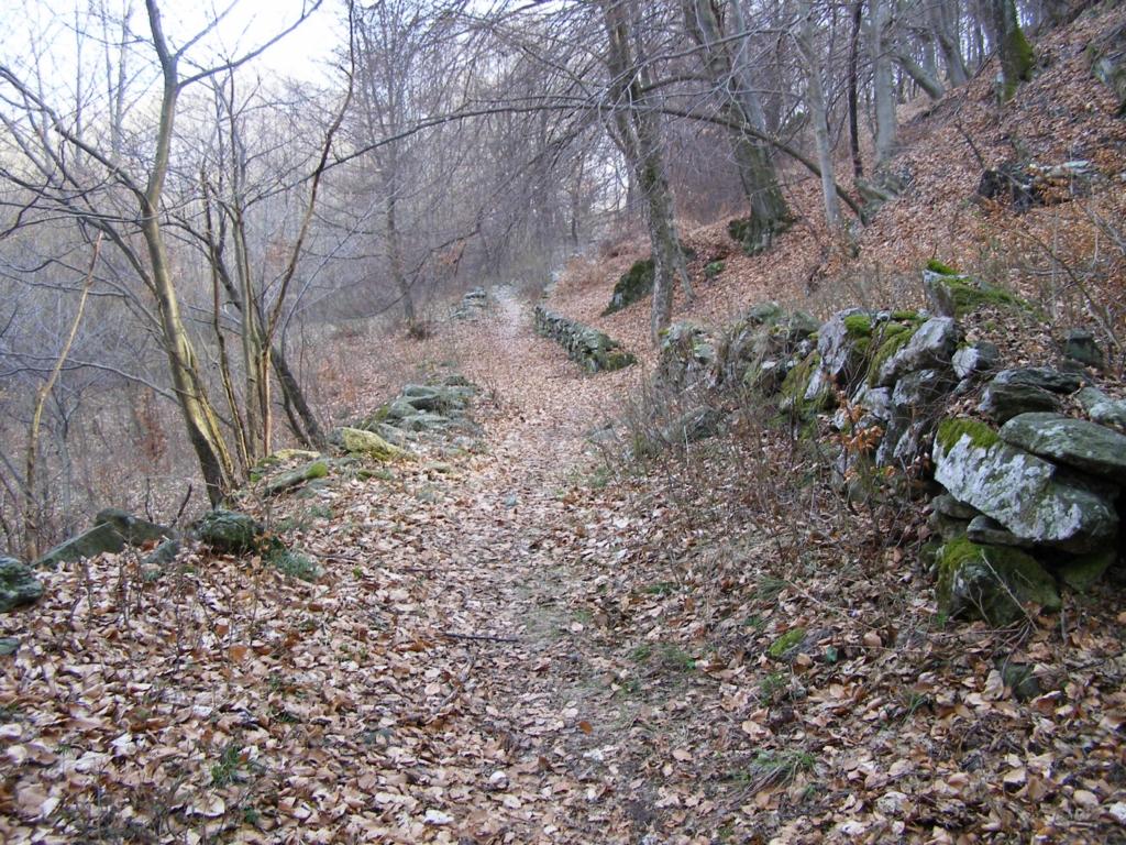 In sella verso Pratobotrile