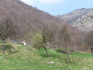 In vista dell'Alpe Caprasio