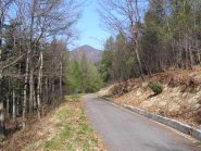 Tagliafuoco verso il Pilone della Costa