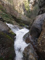 Inizio delle Goie nere