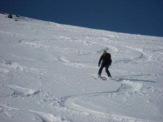 prime curve su neve farinosa