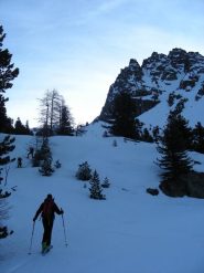Dopo il bosco