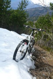 Piantata nella neve fino al disgelo! :)