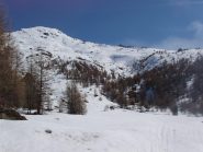 Innevamento ottimale